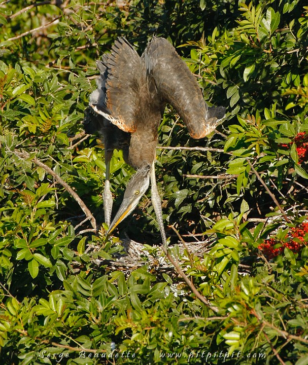 2009-01-06 09-19-22__MG_0623.JPG